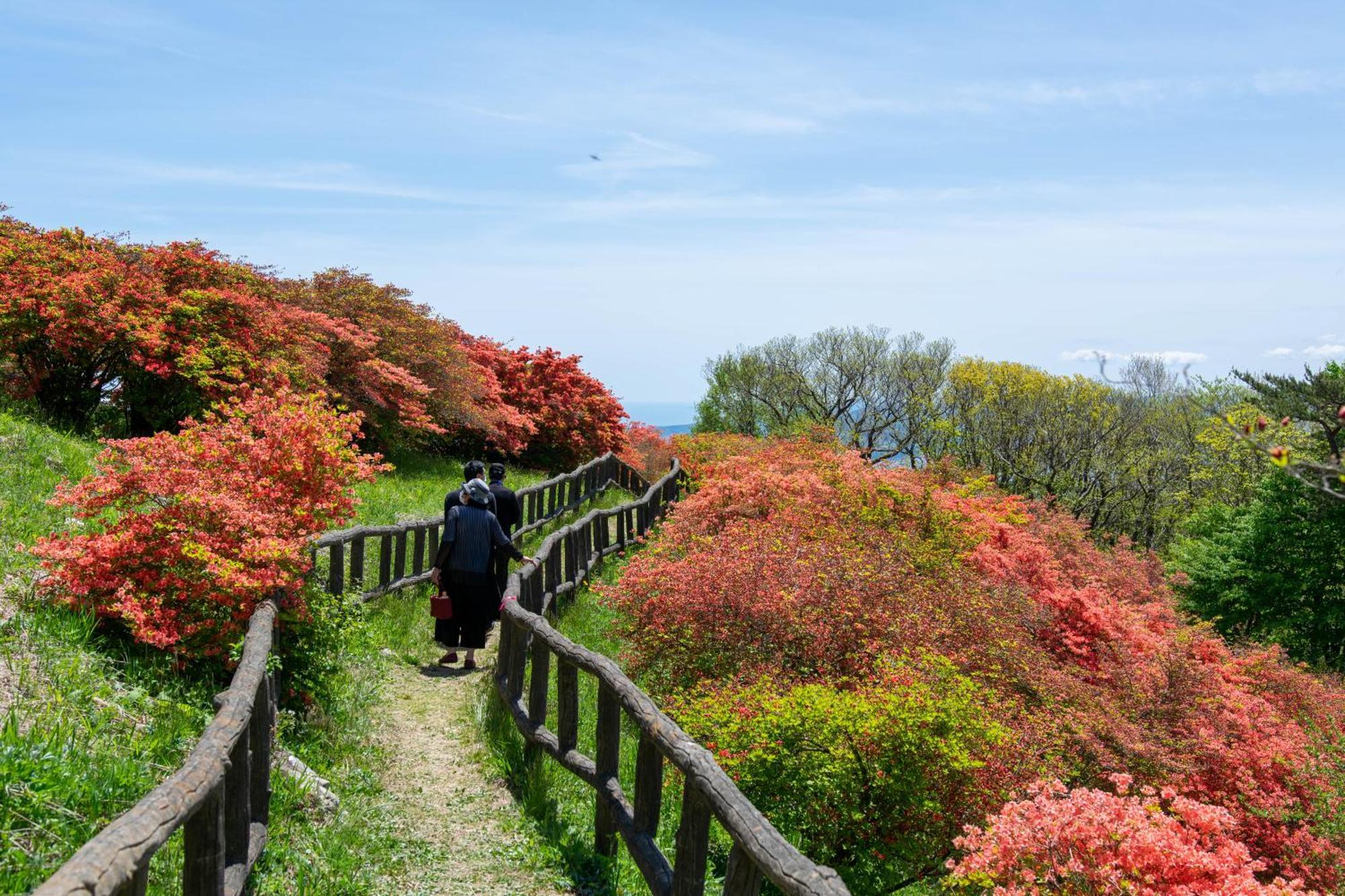 Minami Sanriku Hotel kanyo Shizugawa Eksteriør billede